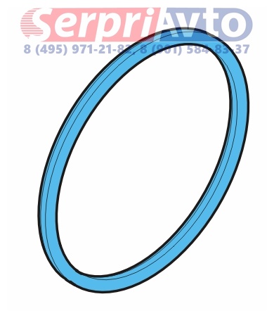 Кольцо сальника ступицы  BPW  100х3  (10-12т) 